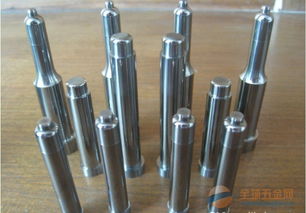 鎢鋼沖頭 鎢鋼襯套 硬質合金異形沖針